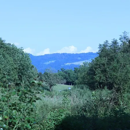 Apartmán #5 Mit Balkon - Zentrale Dennoch Ruhige Lage Mit Terrasse - Stadtbus Vor Der Tuer! *