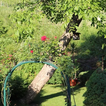 #5 Mit Balkon - Zentrale Dennoch Ruhige Lage Mit Terrasse - Stadtbus Vor Der Tuer!