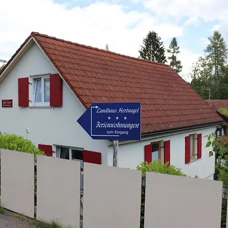 #5 Mit Balkon - Zentrale Dennoch Ruhige Lage Mit Terrasse - Stadtbus Vor Der Tuer! Apartment