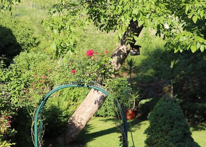#5 Mit Balkon - Zentrale Dennoch Ruhige Lage Mit Terrasse - Stadtbus Vor Der Tuer!